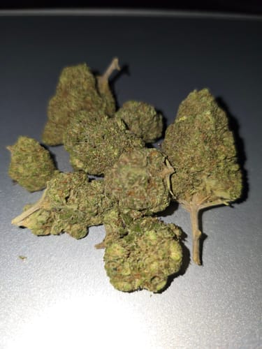 Customer photo review of Joker Candy Light Assist THCA