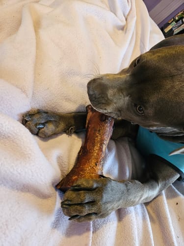 Customer photo review of Smoked Beef Marrow Bone
