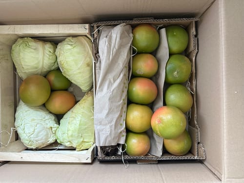 Customer photo review of Grapefruit rose Bio von Andres Sparpreis-Box %
