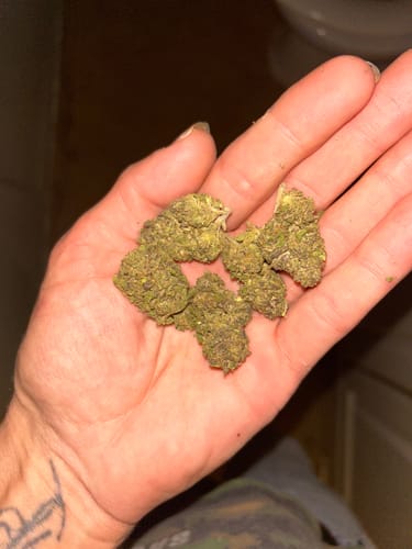 Customer photo review of Pop Rock - Indoor (Full Size)