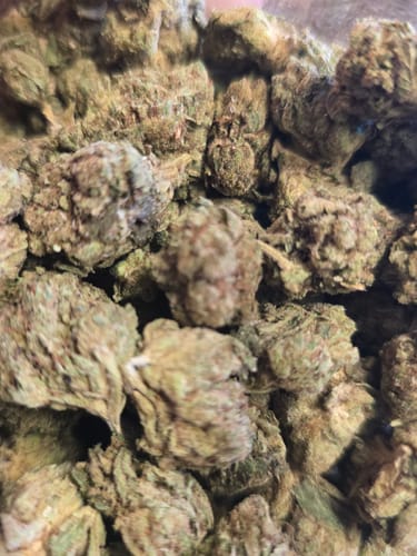 Customer photo review of Triple Burger Indoor THCA