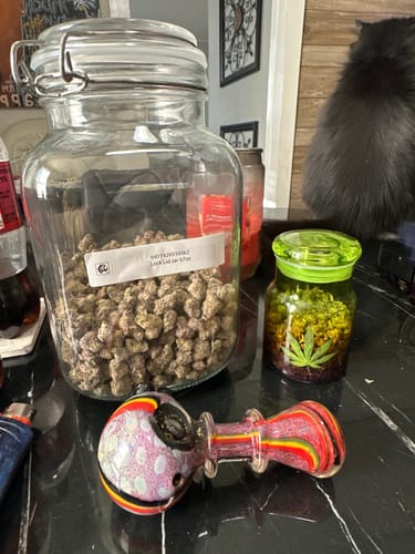 Customer photo review of Bulk Indoor Smalls