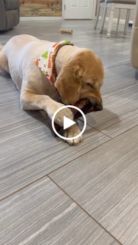 Customer video review of Smoked Beef Marrow Bone