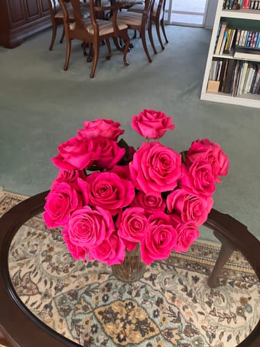 Customer photo review of Pink floyd Pink Rose