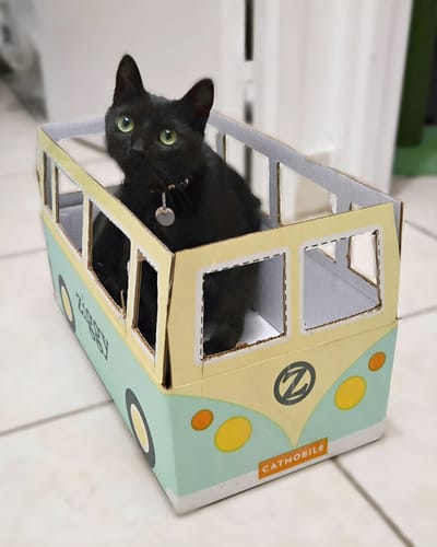 Avis photo d'un client sur Croquettes Chat Stérilisé Sans Céréales - Poulet