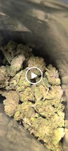 Customer video review of Greenhouse Smalls