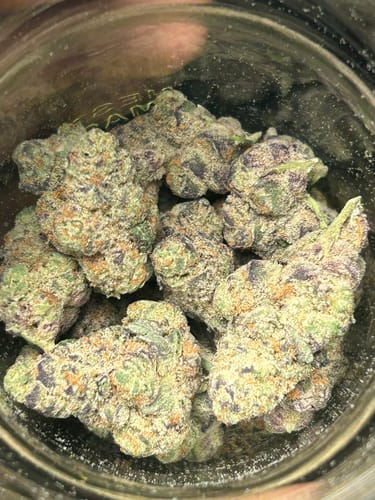 Customer photo review of Black Velvet - Indoor THCA (Full Size)