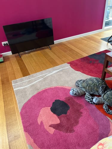 Customer photo review of Sanderson Poppies Red/Orange Pure Wool Designer Rug