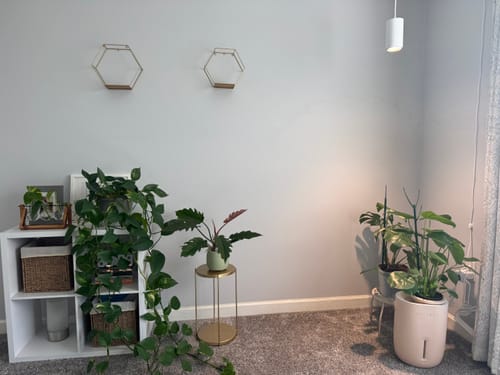 Nicole P. review of Hydration Renew image 1 out of 3