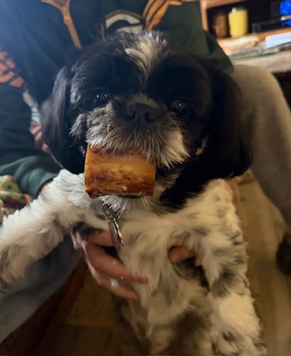 Customer photo review of Small Dog Black Friday Bundle (Your 12oz Jerky+8 Small Bones)