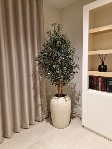 Customer photo review of Kunst Olijfboom 165cm Deluxe