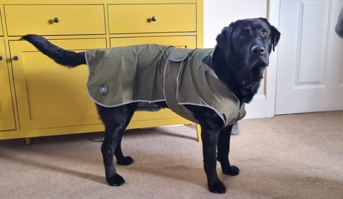 Customer photo review of Stormguard Softshell Summer Rain Coat