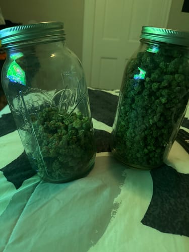 Customer photo review of Bulk Indoor THCA Smalls