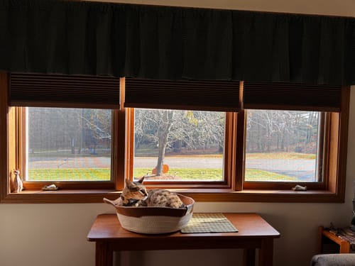 Customer photo review of Instinct Basket | Handwoven & Chemical-Free Cat Territory