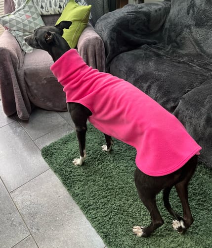 Customer photo review of Sighthound Sleeveless Fleece Sweater / Pullover / Jumper / Pyjamas