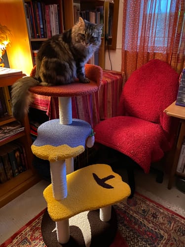 Customer photo review of Purlab Vegetable Garden Cat Tree