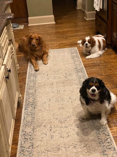 Customer photo review of DA-1™ Daily All-in-One Complete Care