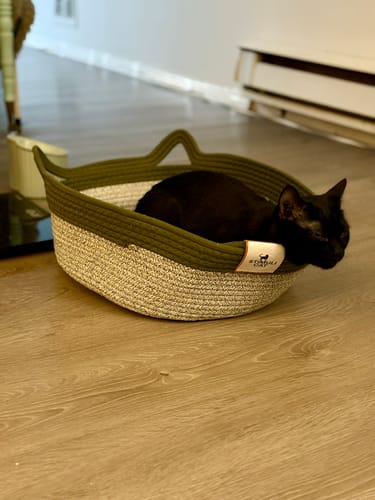 Customer photo review of Instinct Basket | Handwoven & Chemical-Free Cat Territory