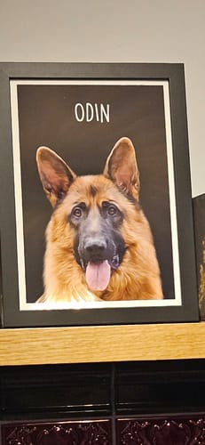 Customer photo review of Classic - Custom Pet Portrait