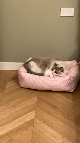 Customer photo review of Divanetto Vichy Rosa