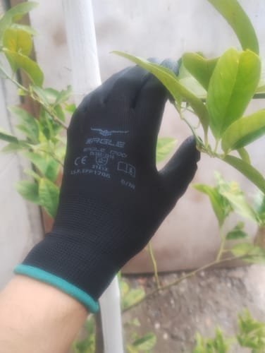 Customer photo review of Guantes de Seguridad Eagle 1700