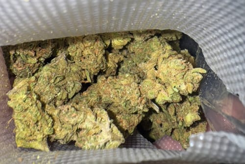 Customer photo review of Mendo Breath