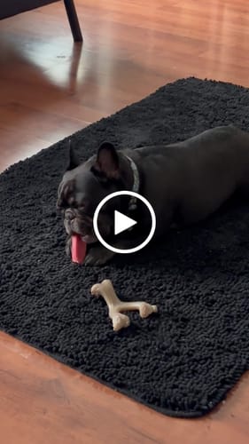 Customer video review of Long-Lasting Yak Chews — 6 Flavor Pack