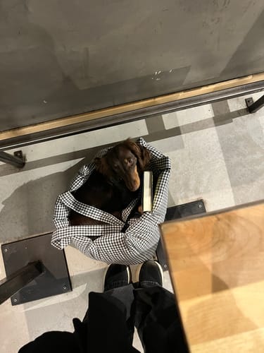 Customer photo review of Borsa Cotone Vichy Grigio Scuro