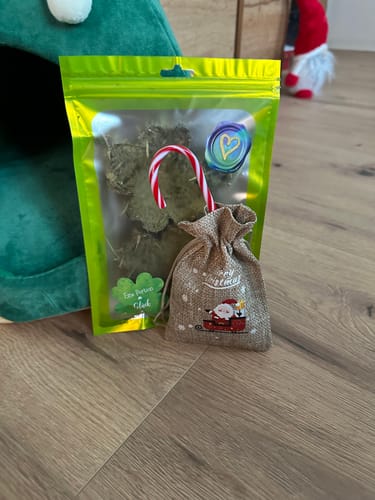 Customer photo review of 🍀 Glückskleeblätter – Natürlicher Knabber-Glücksbringer für deine Meerschweinchen