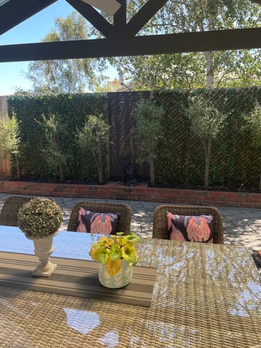 Customer photo review of Expanding Laurel Leaf Trellis, 180x90cm