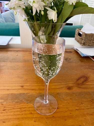 Customer photo review of Unbreakable Stemless Wine - 400mL, with 150mL pour line, Polycarbonate