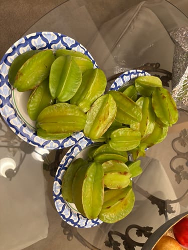 Customer photo review of Star Fruit (Carambola)