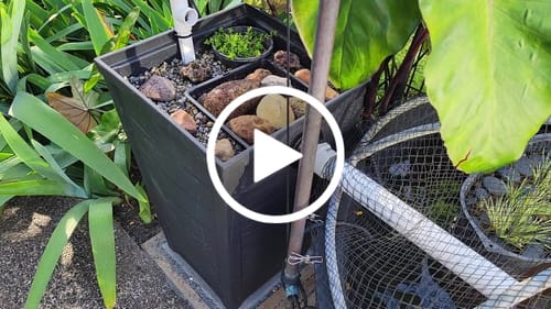 Customer video review of Taper Square High Planter 37cm