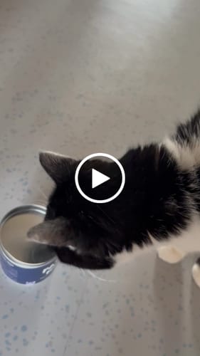 Customer video review of Patsli® Move