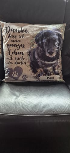 Ein Kunde zeigt sein personalisiertes Kissen mit dem Foto eines Hundes und einem Gedenktext auf einem Ledersofa.