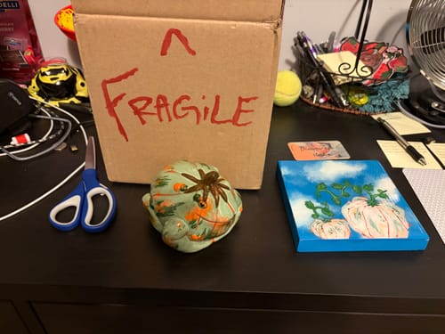 Customer photo review of Priscilla the Pumpkin