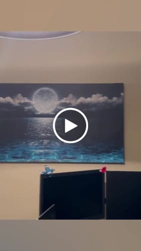 Customer video review of MOON RISE CANVAS