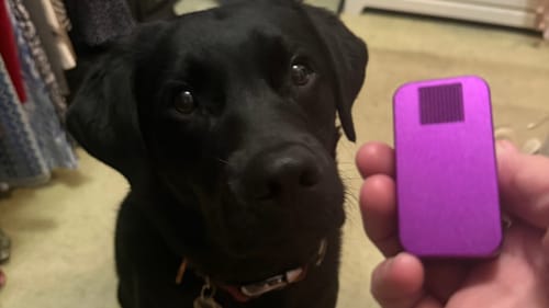 Customer holding a small purple pill case next to a black dog.