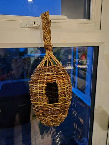 Customer photo review of The Bird Box - Course and Kit