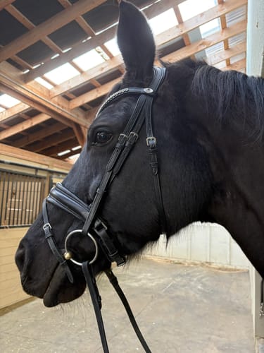 Customer photo review of Solo Summit - Black