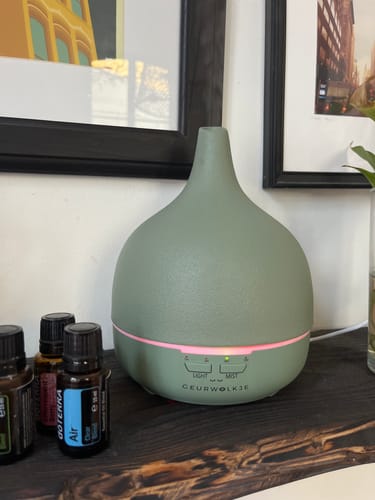 Rezensent zeigt den eingeschalteten, eukalyptusgrünen Close 2 Nature 3.0 Diffuser auf einem dunklen Holzregal.