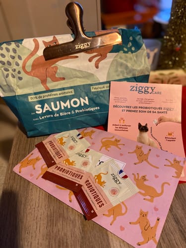Photo d'un client montrant le sac de croquettes au saumon, une pince et des échantillons de probiotiques Ziggy.