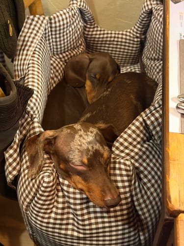 Customer photo review of Borsa Cotone Vichy Marrone