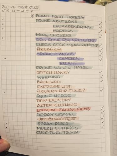 Customer photo review of Running List Weekly Planner