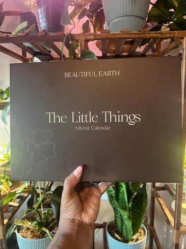 Reviewer holding the dark brown 'Beautiful Earth' Advent Calendar packaging in front of house plants.