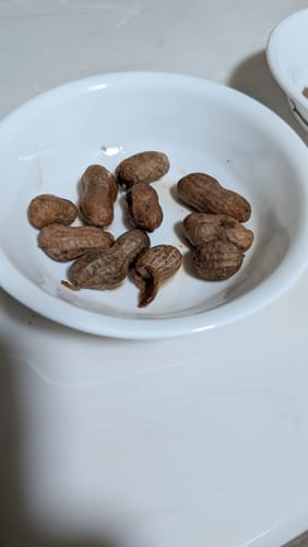 Customer photo review of Add a Bag (Reg. $9.99)