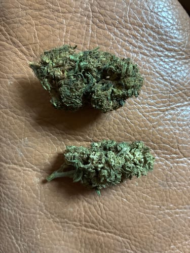 Customer photo review of 🍋 Lemon King - Power LVL 5/5