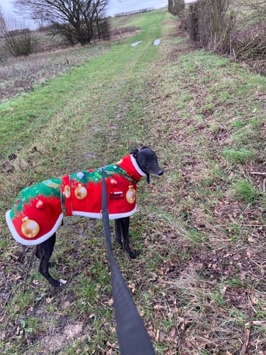 Customer photo review of Sighthound Christmas Tree Warm Fleece Coat / Jumper