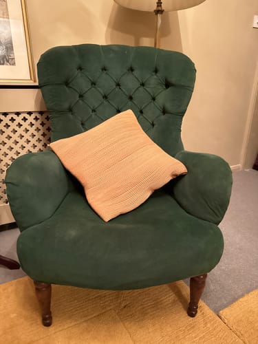 Customer photo review of Fabric Paint -- Dark Green