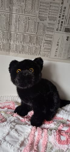 Customer photo review of Black Cat Plush Toy – Soft, Lifelike, Perfect Gift for Cat Lovers